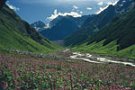 A view of Valley of Flowers as seen from Joshimath